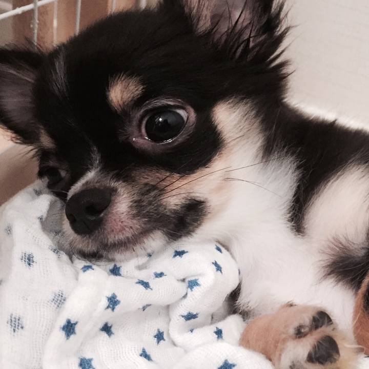 B953915d 733e 4fc1 9bb7 b0214080d78a 1509334815459