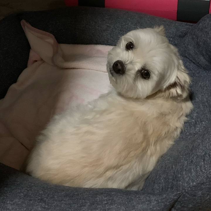 B953b9c9 6c6d 4b26 ad44 250531104aa7 1577620023398