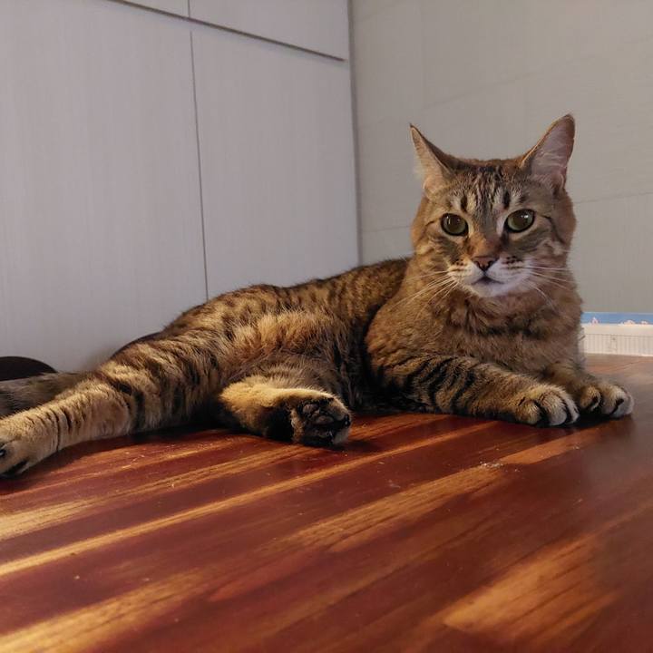 B953c252 bdb7 48ac 8756 82199c3b87a2 1649708534787