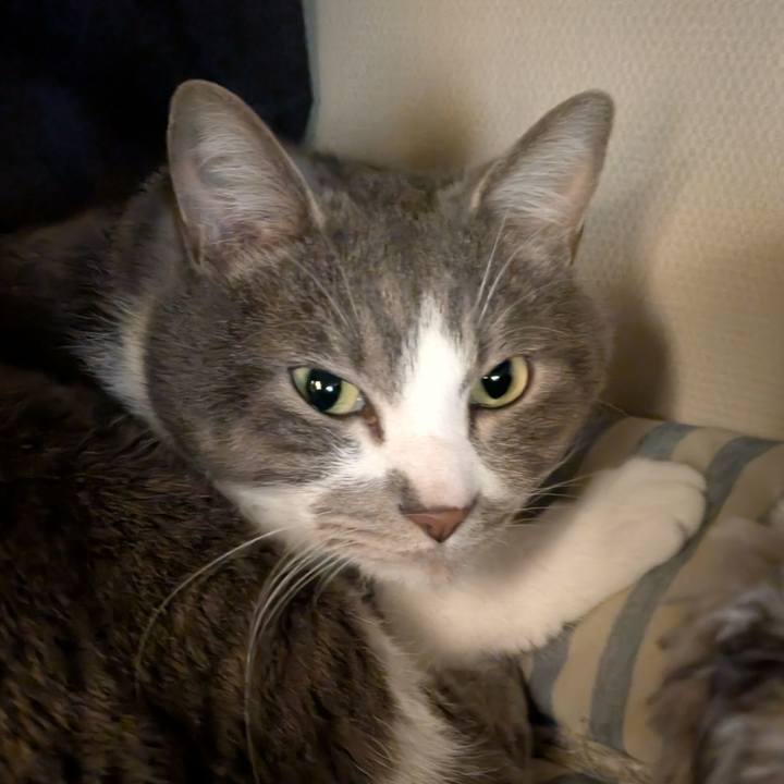 B953fe04 a86c 4739 bcdd dabe7333cd54 1748656323445