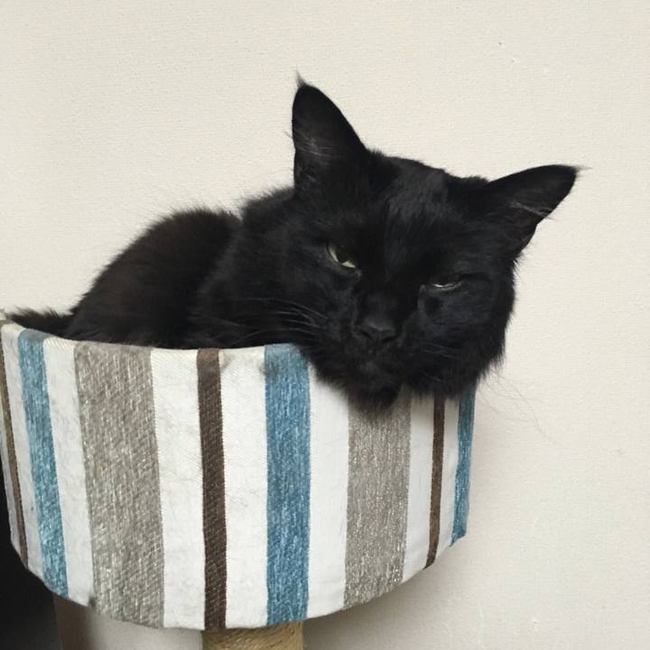 B95407db 1152 44a0 abba 72a726792c78 1522763405448