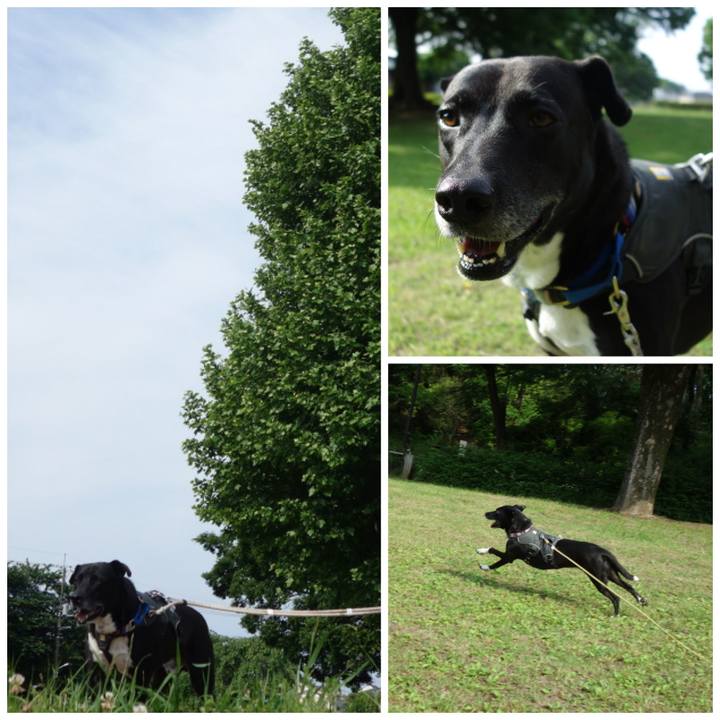 B954284a 87af 4d96 8a36 f0de25233171 1652834882837