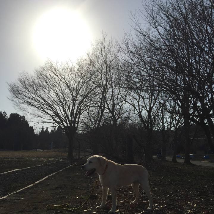 B9543fa6 e83b 4dd6 a345 3d3544f8c4d9 1523011351082