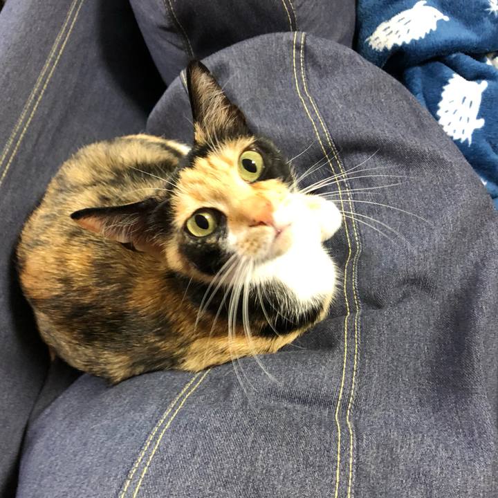 B954429d 22e6 405f b2e9 ac4ddc4a811b 1551739535784