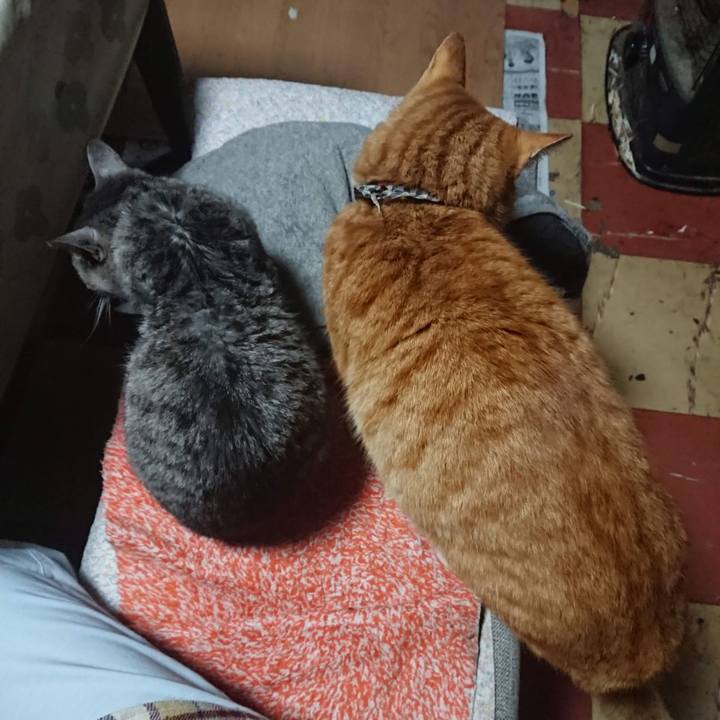 B9546ecf d4f0 4610 8ba1 352cf9c21e6b 1606337753326