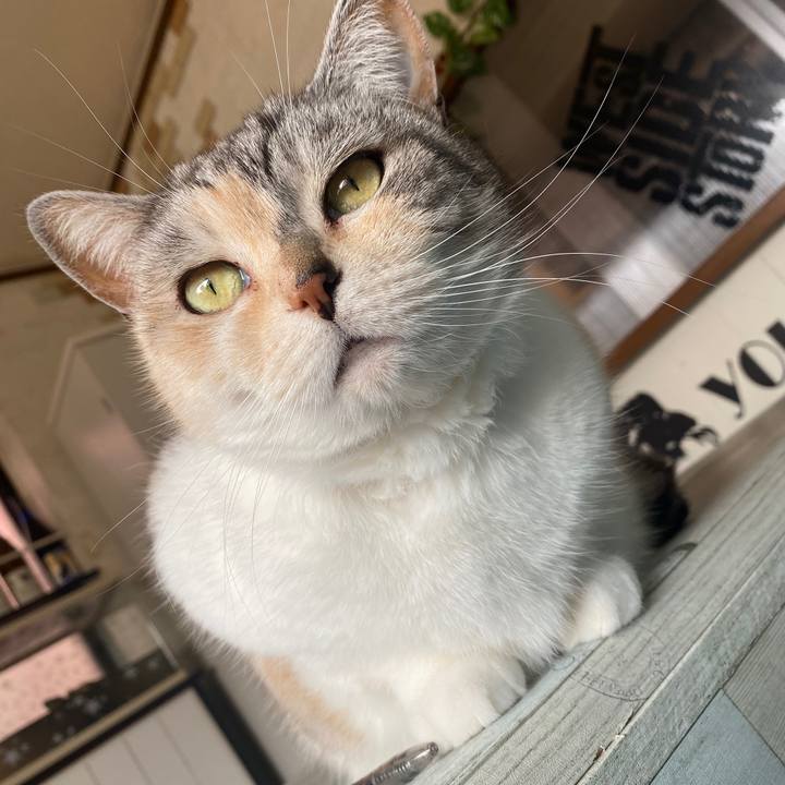 B9547b0c 9cc4 4a3d 85bf a97742e86055 1587007276019