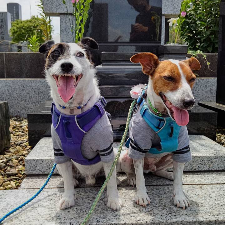 B954974b e40b 4ff5 baa4 412dbfa22efd 1660277628919