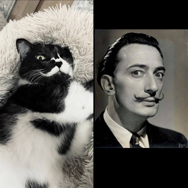 B955589b c4d0 42e8 8af0 0887e336f456 1770429127564