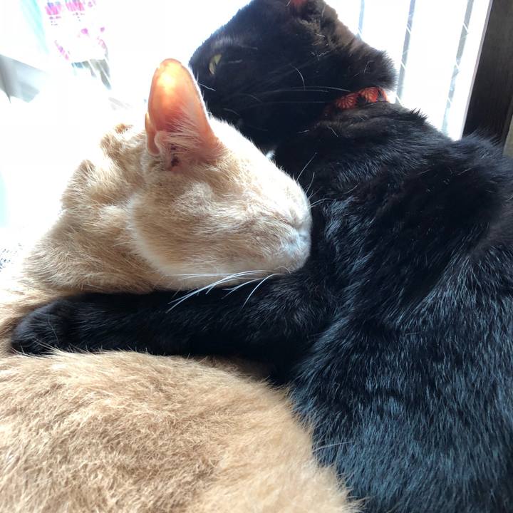 B9559234 7f42 4c1d 8c95 e2425dcf2f6f 1537846162268