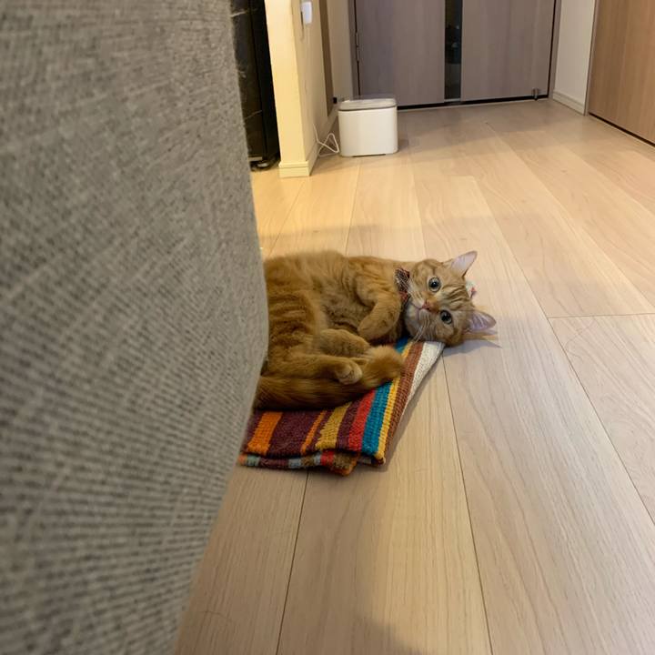 B955fc61 d155 4f09 a4d0 80fca15b13b5 1591174566903