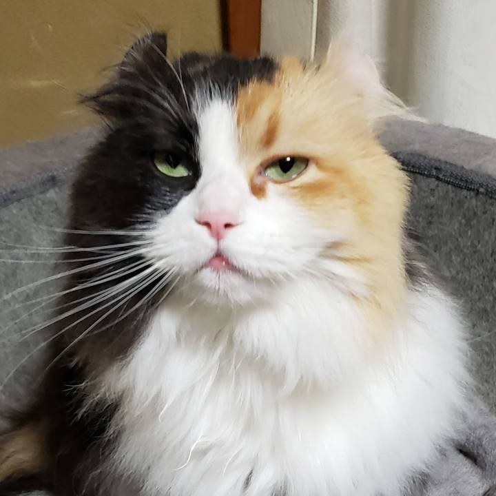 B9563df8 f5fe 44e8 9536 f697e7ce794b 1616671777555