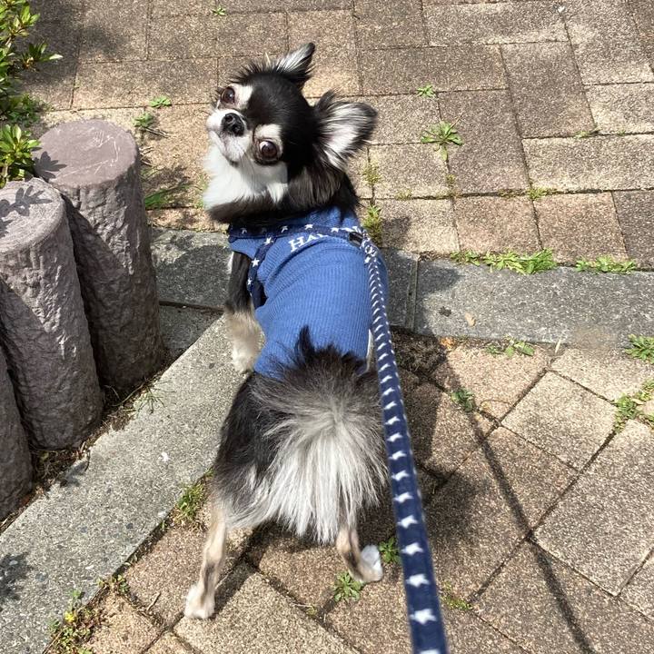 B956600e c302 4267 9f5b a227e9ad3236 1650172830328