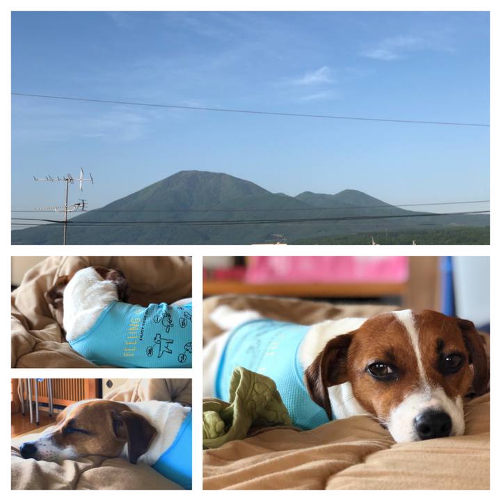 B956651c 0626 4e77 a06d 9dbdd8501bb1 1528155334774