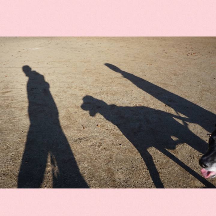 B9567c0c 5829 4446 b264 1638bb3b40c7 1763080062714