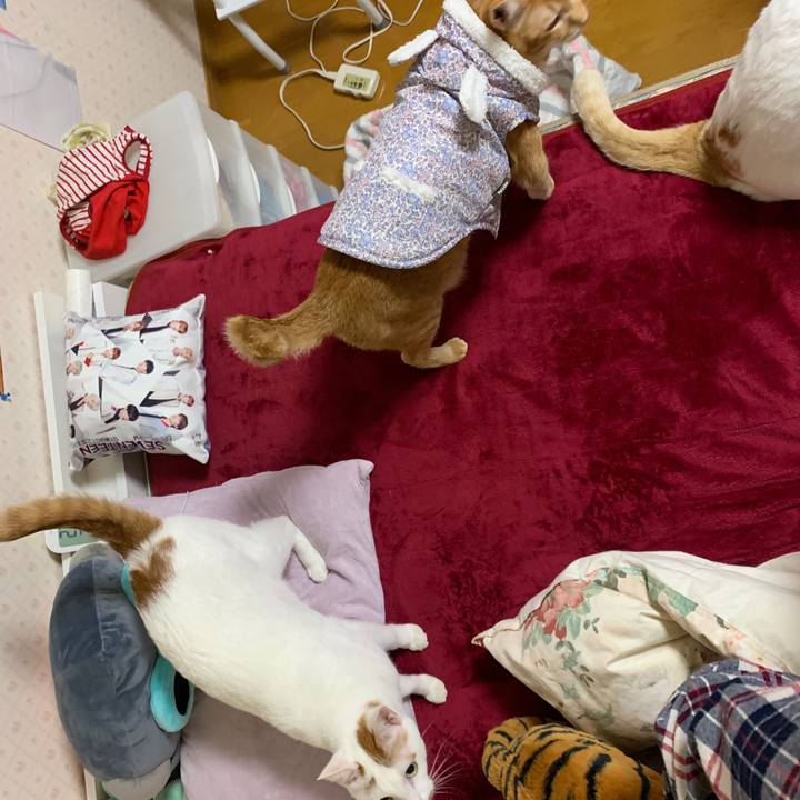 B95684cc 3d3c 494c aa40 5e89a48fe011 1580852430726