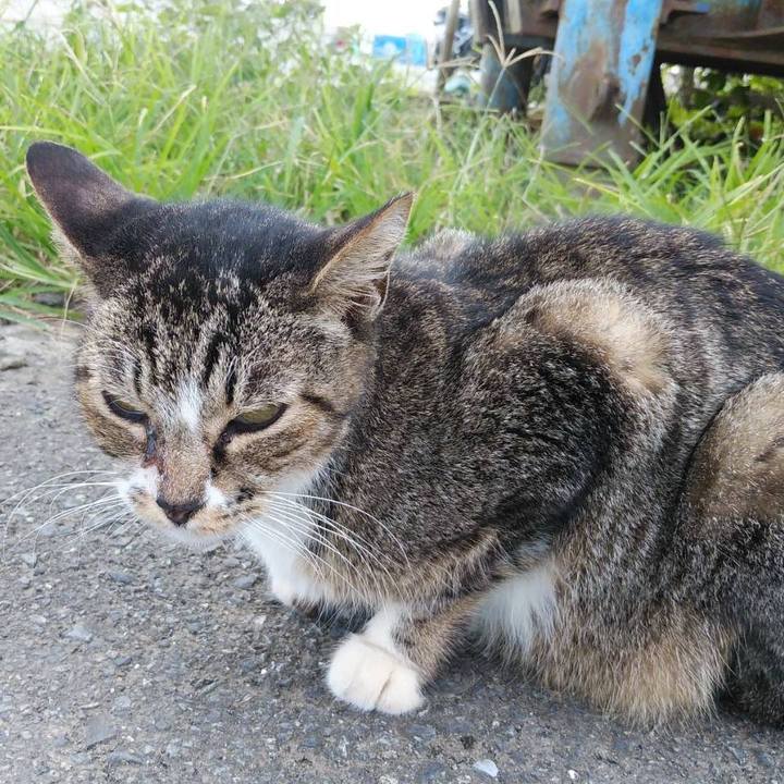 B9568aba b46a 4026 80c3 de293f944e53 1601945863146