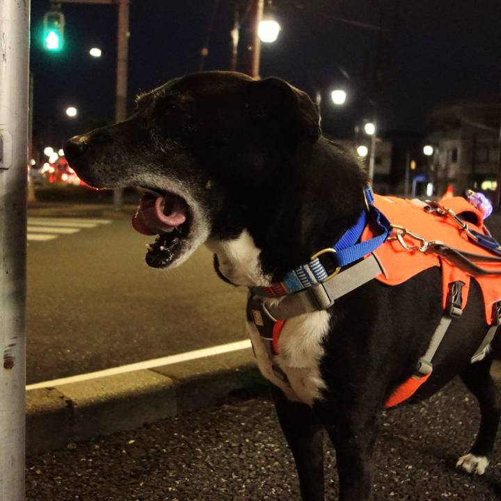 B9569375 5ae4 4021 a791 918d459cb489 1748257498587