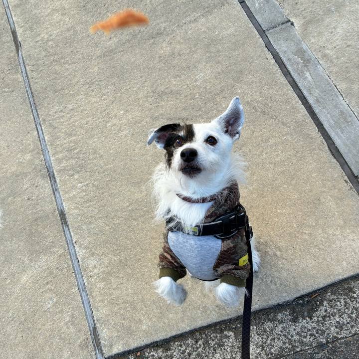 B956950f 0dcc 45e8 84d3 579fff1fef85 1763248664320