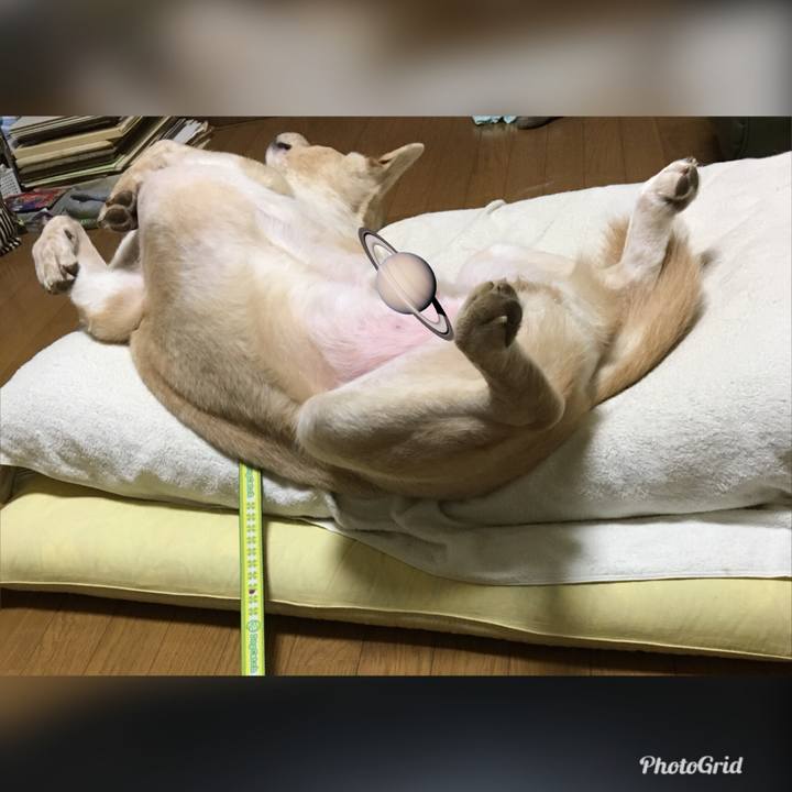 B956a801 c7b5 496a abff 421d82016d39 1531319413504