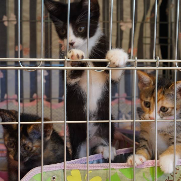 B956aec3 15f1 4d5f 8781 f032da1b27af 1567068849004