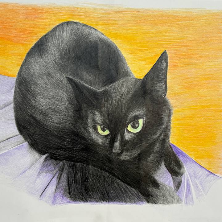 B9572395 eab7 4952 8b1d 328519f480f6 1759318189532