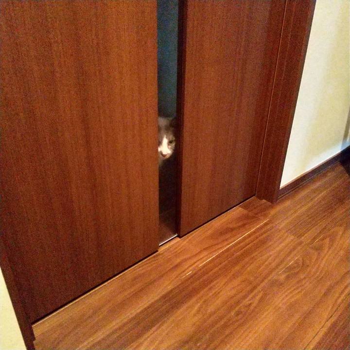 B9572b29 28f7 42c8 94dc b7644b3c69c4 1627901705086