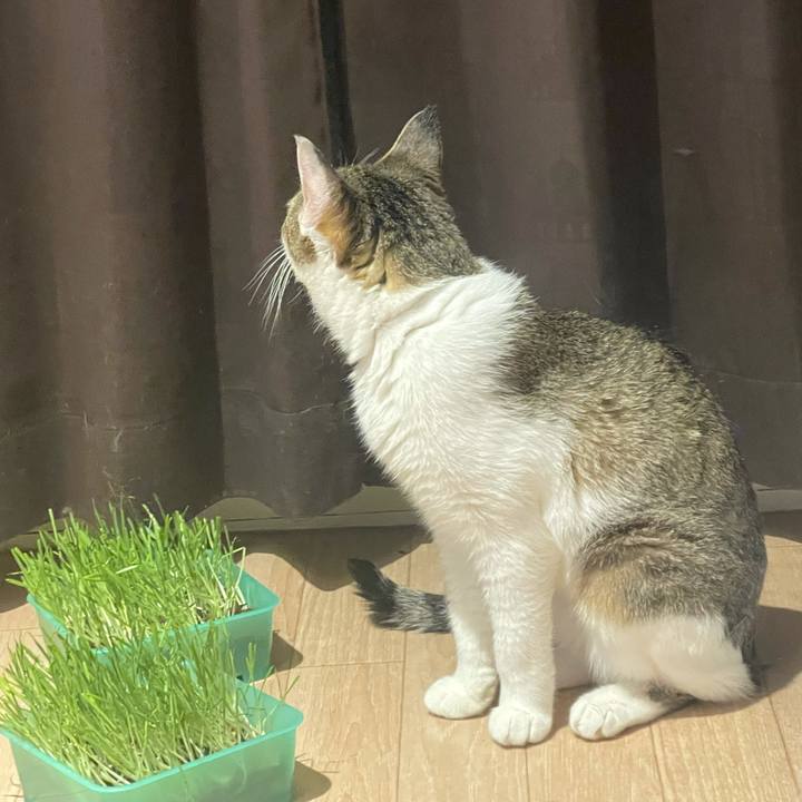 B9573434 f442 4fd9 a054 c2a18c0463bf 1628681738685