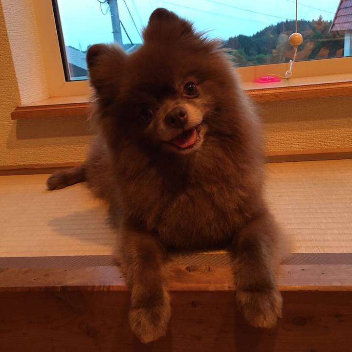 B95770b1 935f 482e ba81 223c9515ef4d 1530737220813