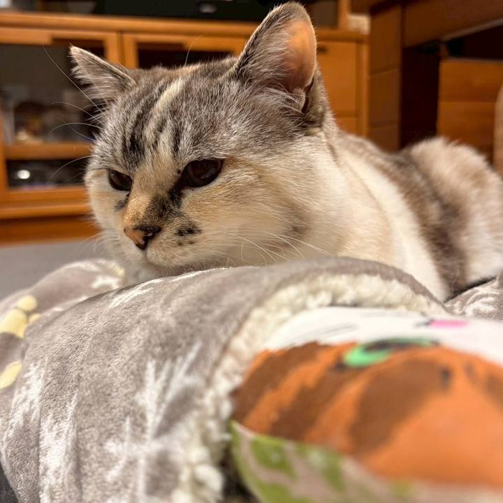 B9577c09 869c 4180 bd14 f968f74b9f45 1766222872056