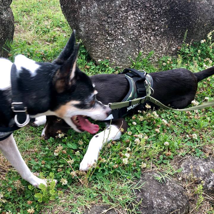 B9578169 6d36 4eeb a528 4a653b7a0ba1 1561780017806