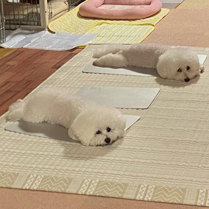 B9578bdd ed4f 4f8d a719 873ea63ce9df 1660645047714