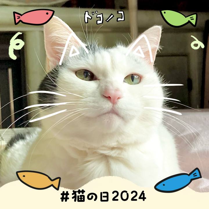 B957a3cc 579f 4bf3 bda1 ef7a6ceea103 1708571570751