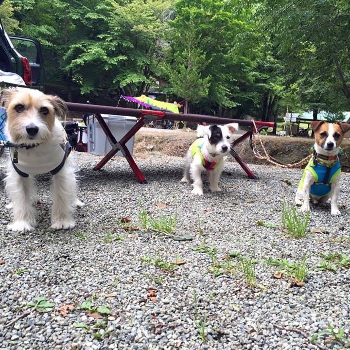 B9582a4f 773f 4553 a035 3c740999ae4c 1593214143647