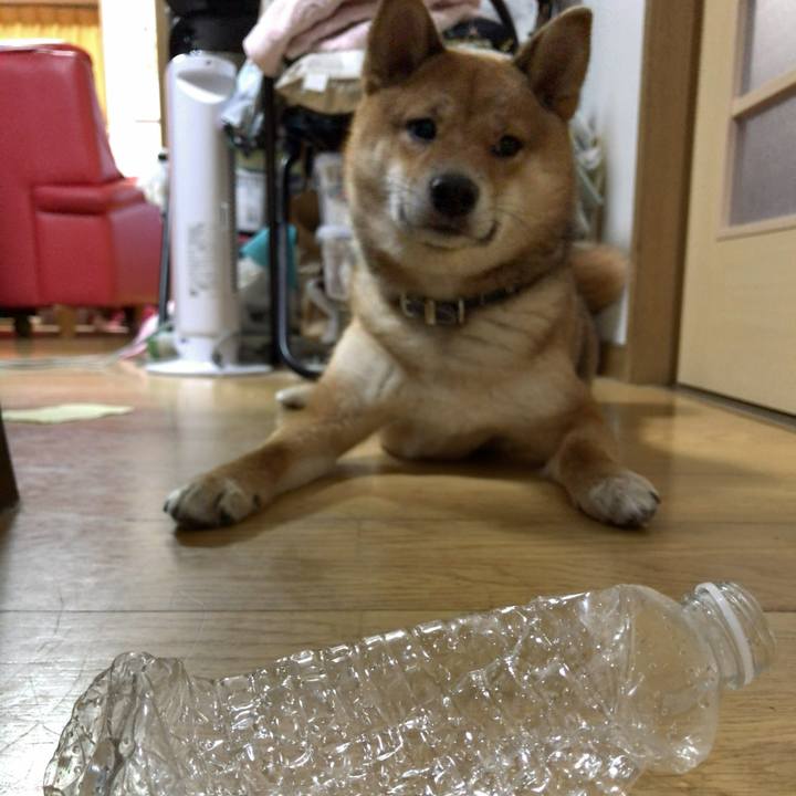 B9584833 e20c 49eb 894d e084370810c9 1519899030289