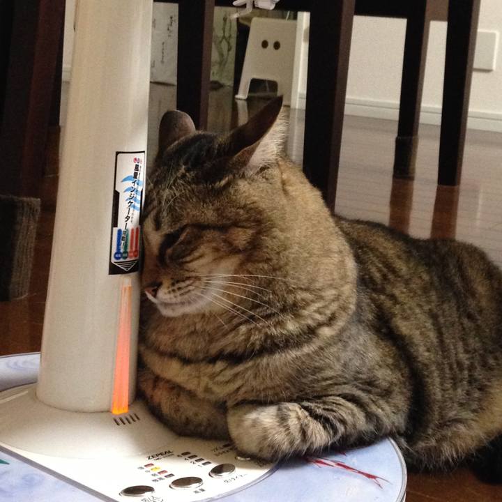 B958560c 5c4a 4bad 898d 69157bc9ca3d 1593672487280