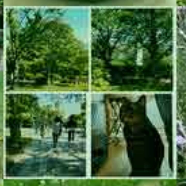 B9585969 98ec 4a85 86fc b24f09333627 1781689155979