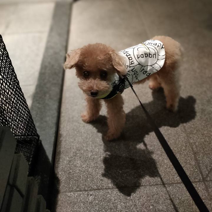 B958bd6e 7b02 43b9 bc6f 4ee2a53e7c2f 1631185719276