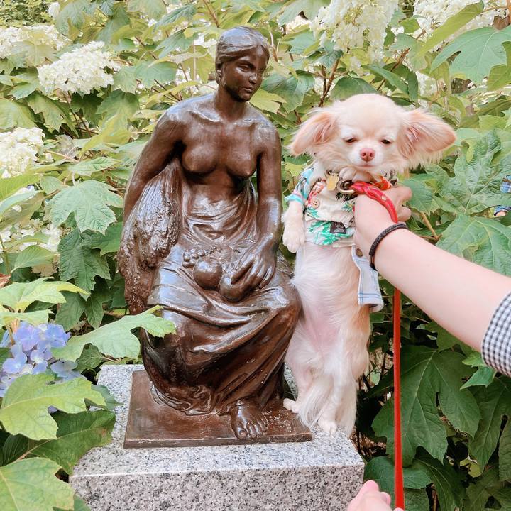 B9596b22 c35c 4d71 9061 6a150180701f 1655353088678