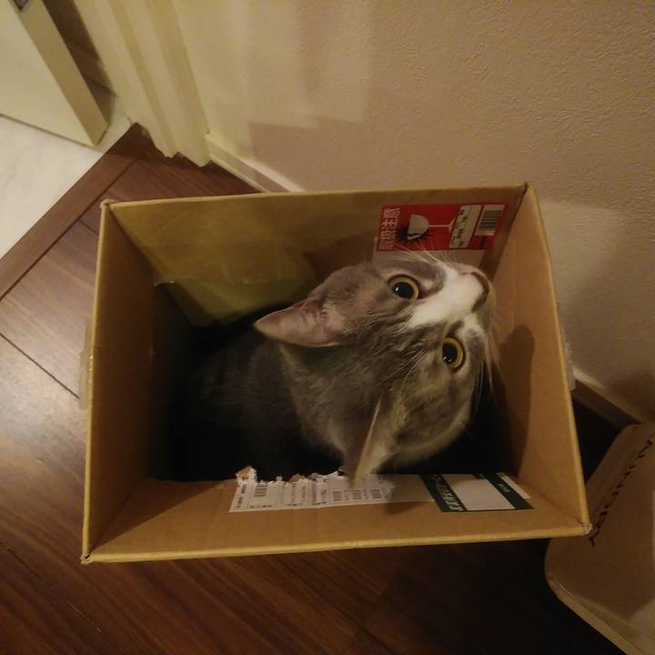 B9597c26 ef5c 4b3b a070 ff6c64a0e1f7 1587823263280