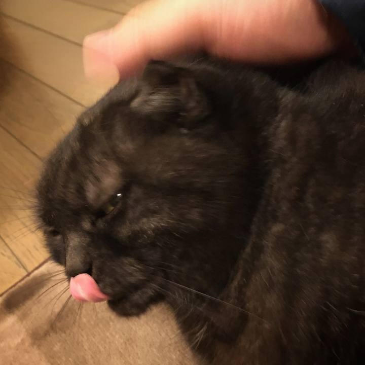 B959c353 5d9c 40f9 9856 dc3d15fb939f 1582037620865