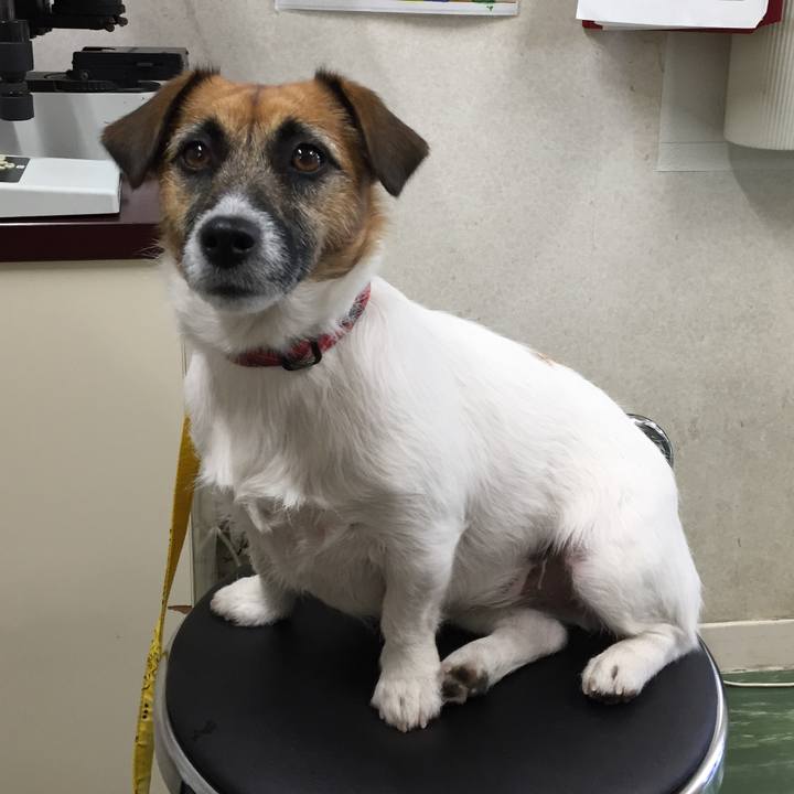 B959c5f4 c35d 4252 9ffb 00aea06a7afb 1547471407529