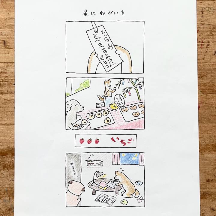 B95a0772 71fb 4c84 8ab7 9c52083227b6 1751854871907