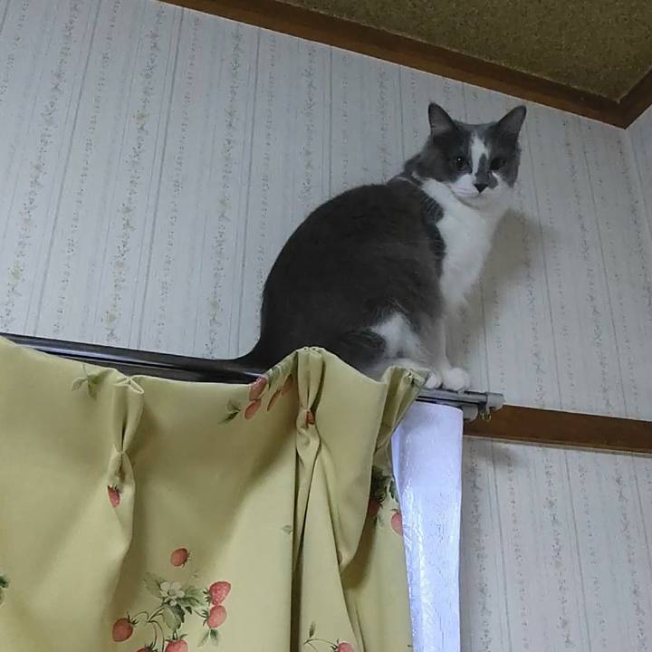 B95a1f6e 8572 4072 ad26 a74ce19c6302 1574329662804