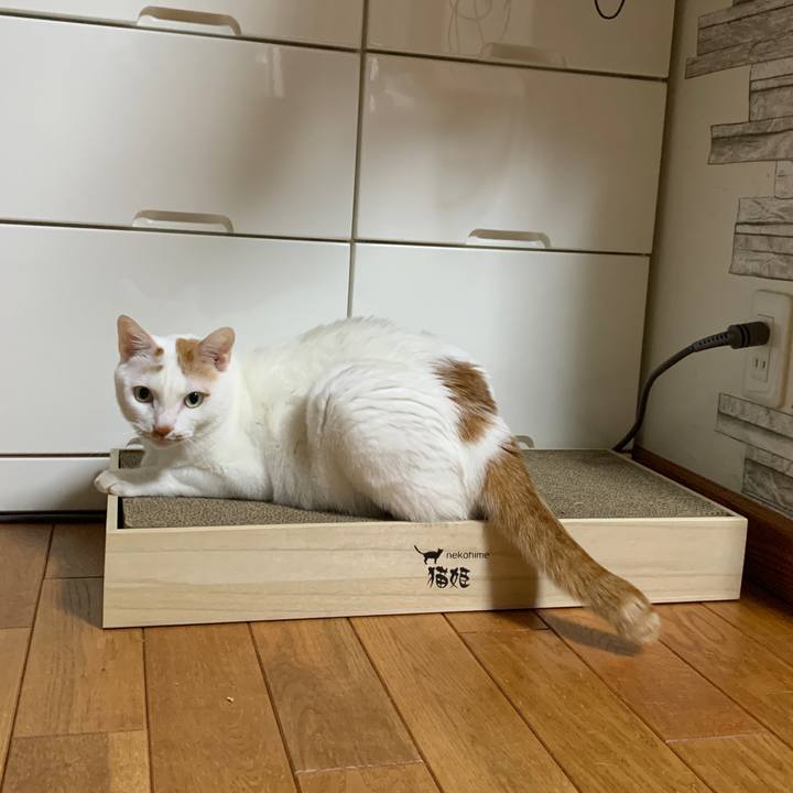 B95a4b0a 0874 41f2 af13 c43373e64e3f 1671141769903