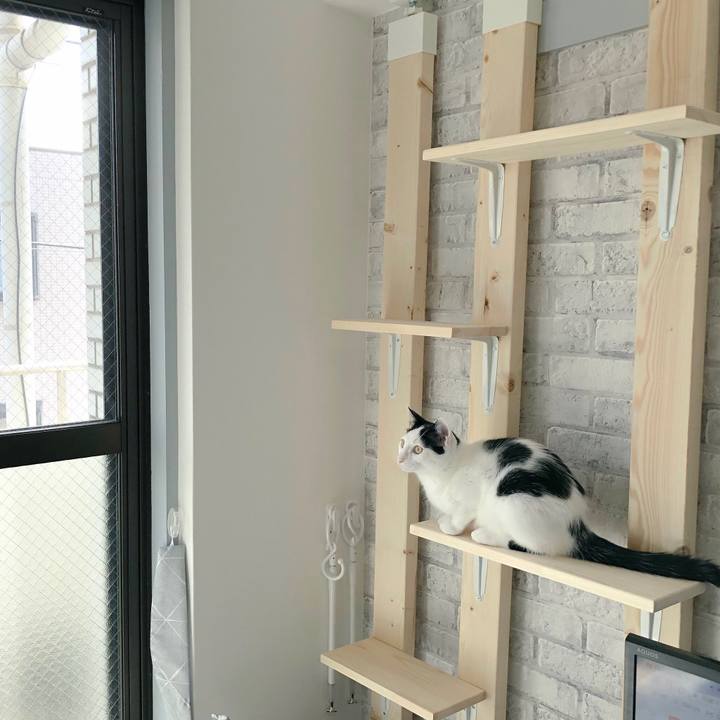 B95a7ce2 3240 43fd aa39 0a1b91186cc6 1537318239648