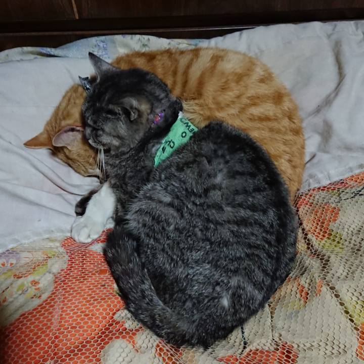 B95aae4f 0ebf 471a b168 24ab9c2116c2 1587558957040