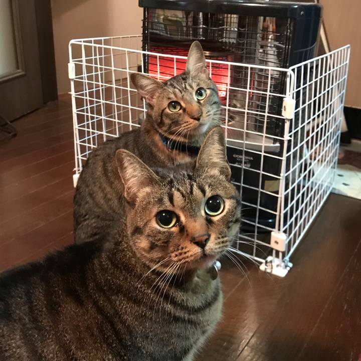 B95aafa5 d567 4bcc bd3a 20404b04a5ca 1575291574673