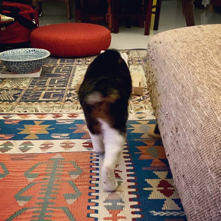 B95abb28 6620 401b bb8b 330b1d2984a8 1593782012650