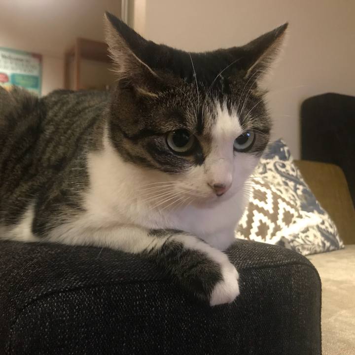 B95ae07f ffa4 4e7e abab eaf5b792b254 1538352424655