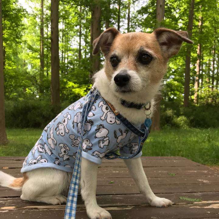 B95b5b23 2fd5 4ce3 9c29 2c3bfd5bd934 1620014412610